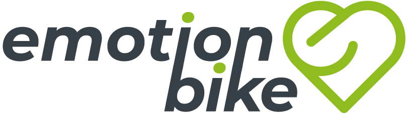 Rental Emotion Bike